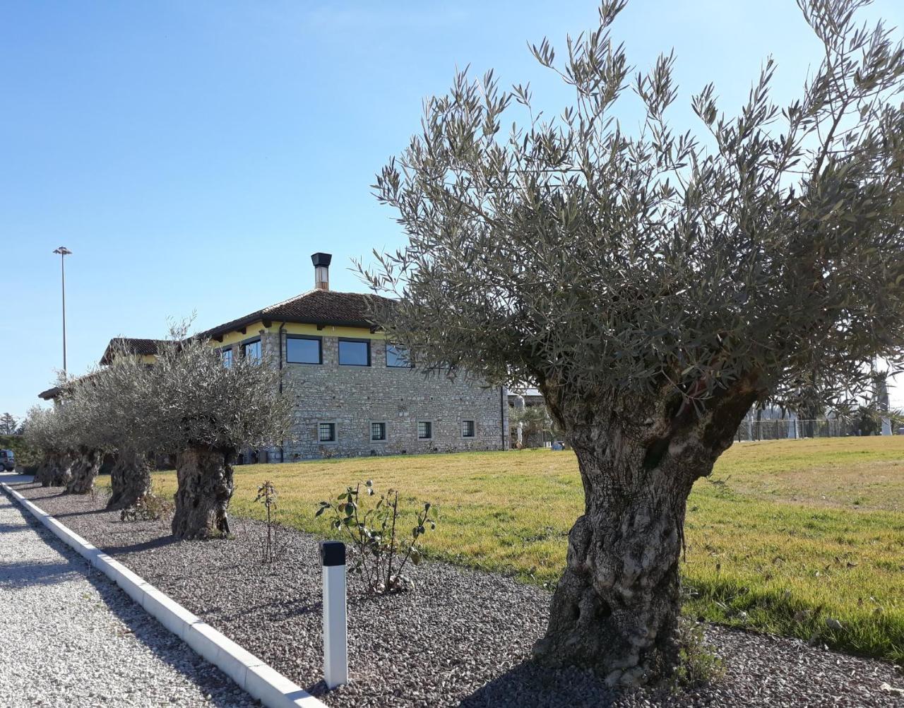 Agriturismo San Gallo Strassoldo Exteriör bild